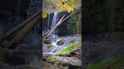 a day relaxing at the creek