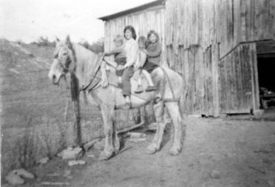 514518119 24895035600087165 n